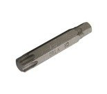 Bit 3/8" Torx T60 x 80 BGS Technic