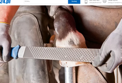 Pferd Tarnik do kopyt końskich płaski 350 mm z uchwytem