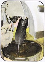 Elastyczny lejek do płynów 370x170 mm Muller Werkzeug